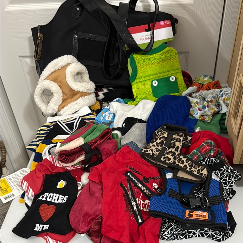 Stylish Dog clothes, travel bag
